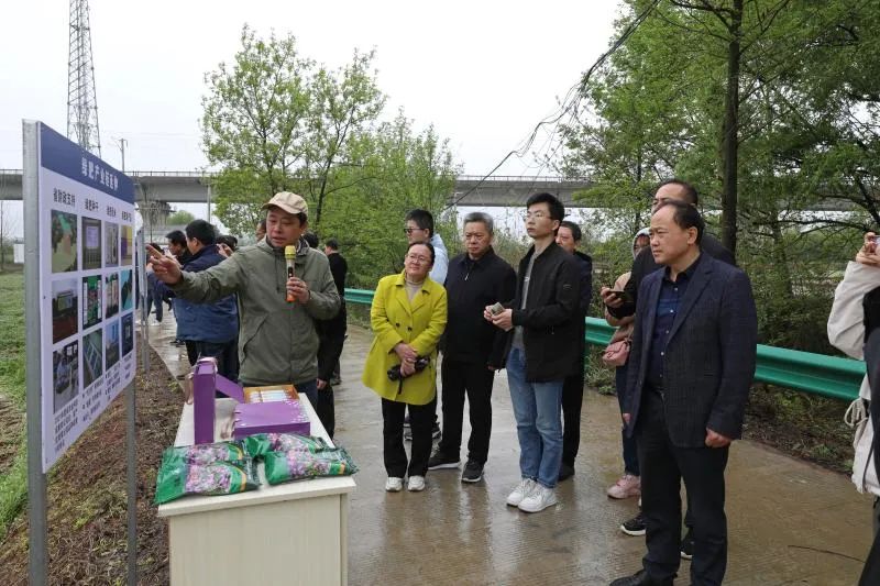 必赢：关注｜安徽省农科院科技助力千亿斤江淮粮仓纪实(图4)