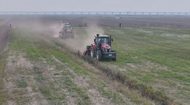 bwin网站：又要热闹了！灌南沂河淌10万亩小麦开始抢种！(图2)
