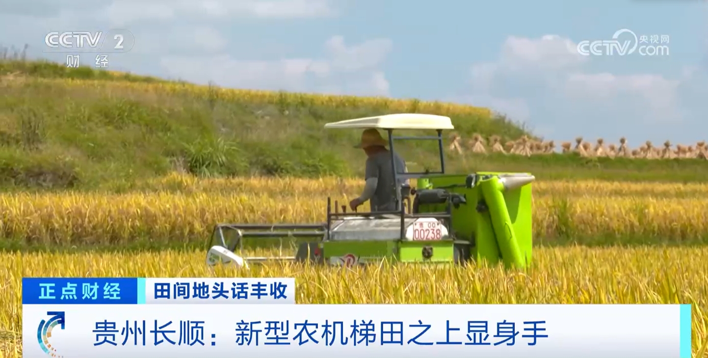 必赢国际：秋收正当时！新质生产力赋能农业生产绘就金秋好“丰”景(图3)