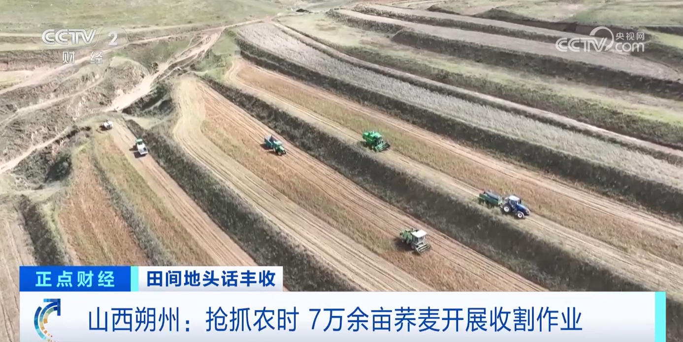 必赢国际：秋收正当时！新质生产力赋能农业生产绘就金秋好“丰”景(图4)