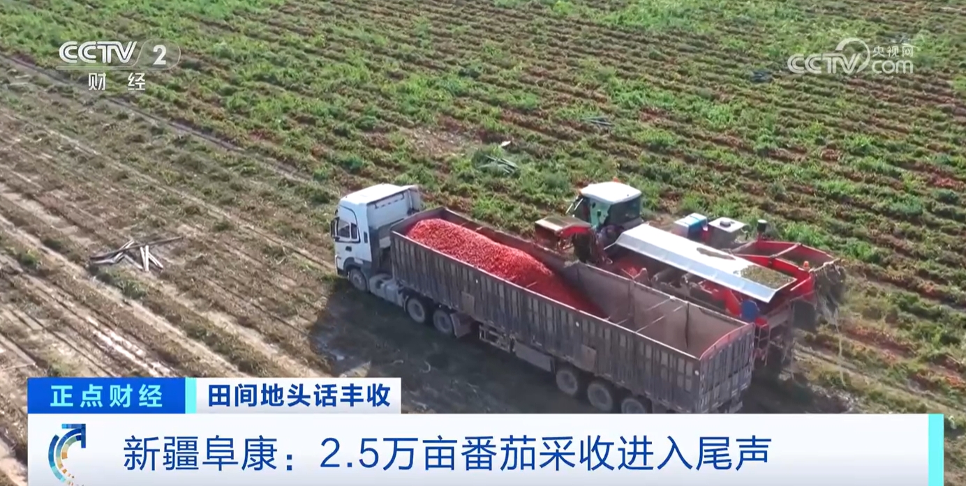 必赢国际：秋收正当时！新质生产力赋能农业生产绘就金秋好“丰”景(图6)