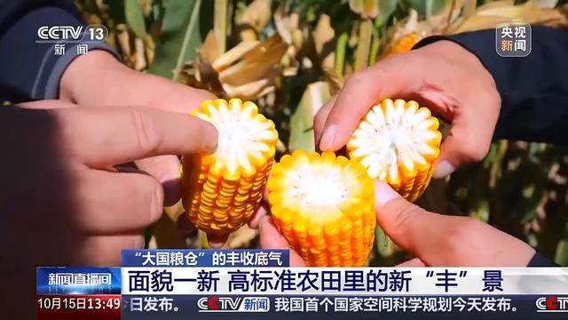 bwin网站：耕地面貌一新、“小众农机”奔跑田间这些是农田里的新“丰”景(图10)
