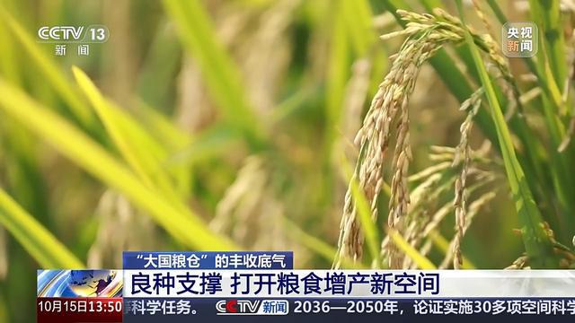 bwin网站：耕地面貌一新、“小众农机”奔跑田间这些是农田里的新“丰”景(图11)