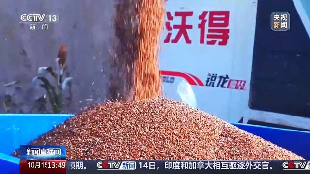 bwin网站：耕地面貌一新、“小众农机”奔跑田间这些是农田里的新“丰”景(图8)