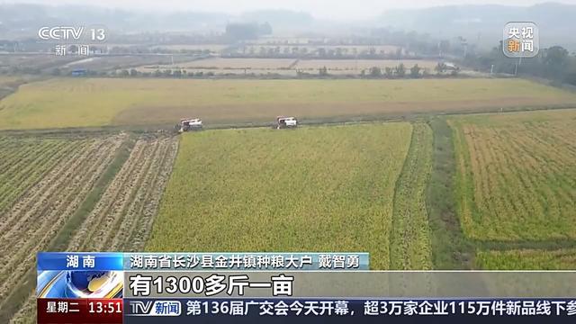 bwin网站：耕地面貌一新、“小众农机”奔跑田间这些是农田里的新“丰”景(图12)