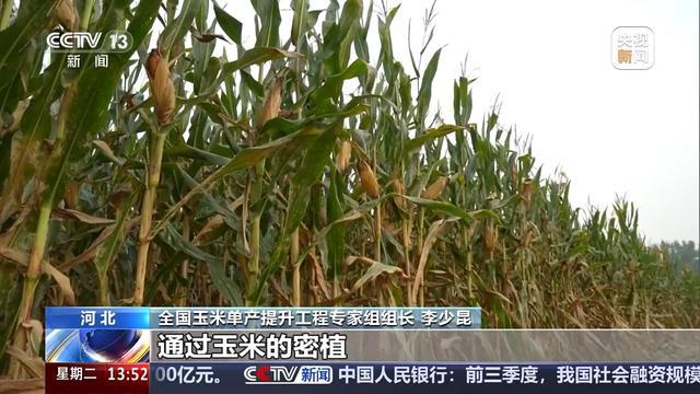 bwin网站：耕地面貌一新、“小众农机”奔跑田间这些是农田里的新“丰”景(图13)