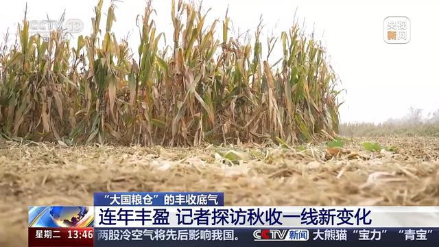 bwin网站：耕地面貌一新、“小众农机”奔跑田间这些是农田里的新“丰”景(图3)