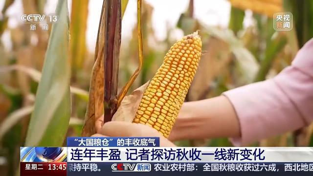 bwin网站：耕地面貌一新、“小众农机”奔跑田间这些是农田里的新“丰”景(图2)