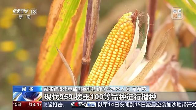bwin网站：耕地面貌一新、“小众农机”奔跑田间这些是农田里的新“丰”景(图6)