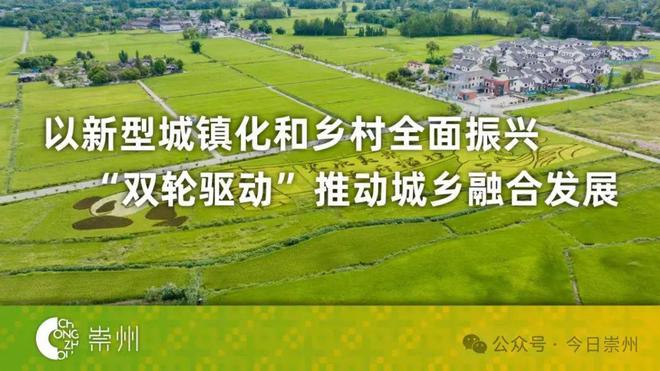 必赢国际：国内领先！在崇州“PK”(图11)