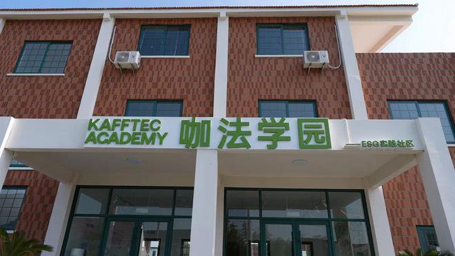 必赢国际：亭林：非遗文化助力乡村振兴打造特色文化名片(图10)