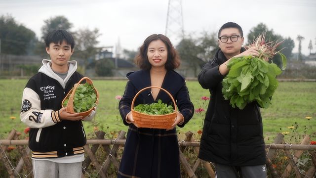 bwin网站：成都引领奔跑的年轻人｜王莉：从公路设计师到农业职业经理人(图3)