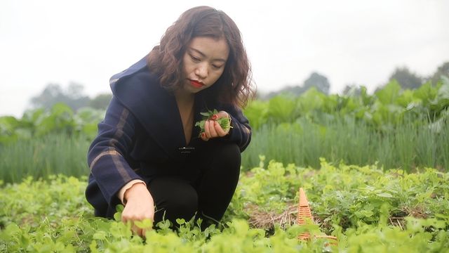 bwin网站：成都引领奔跑的年轻人｜王莉：从公路设计师到农业职业经理人(图2)