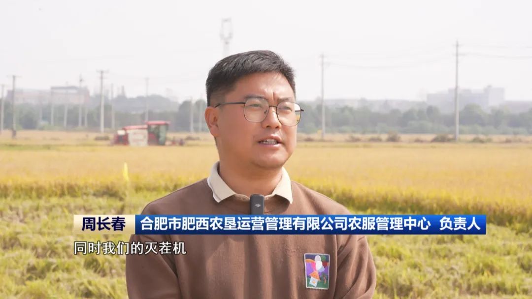 必赢国际：又是一年丰收季全省秋收已过八成(图2)