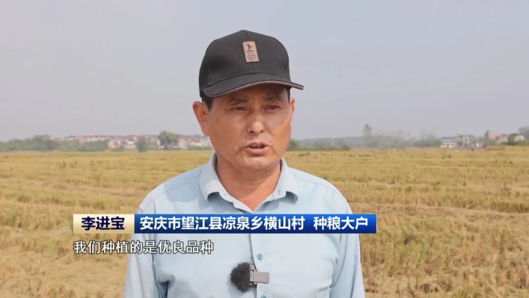 必赢国际：又是一年丰收季全省秋收已过八成(图5)