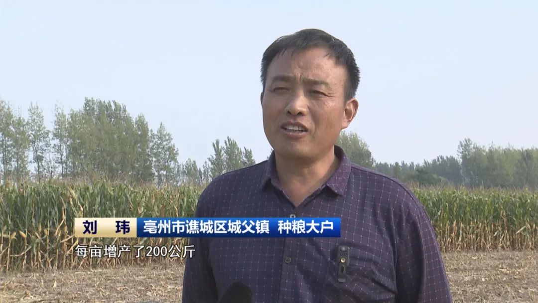 必赢国际：又是一年丰收季全省秋收已过八成(图7)