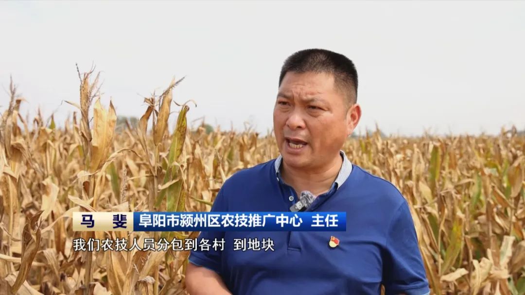 必赢国际：又是一年丰收季全省秋收已过八成(图10)