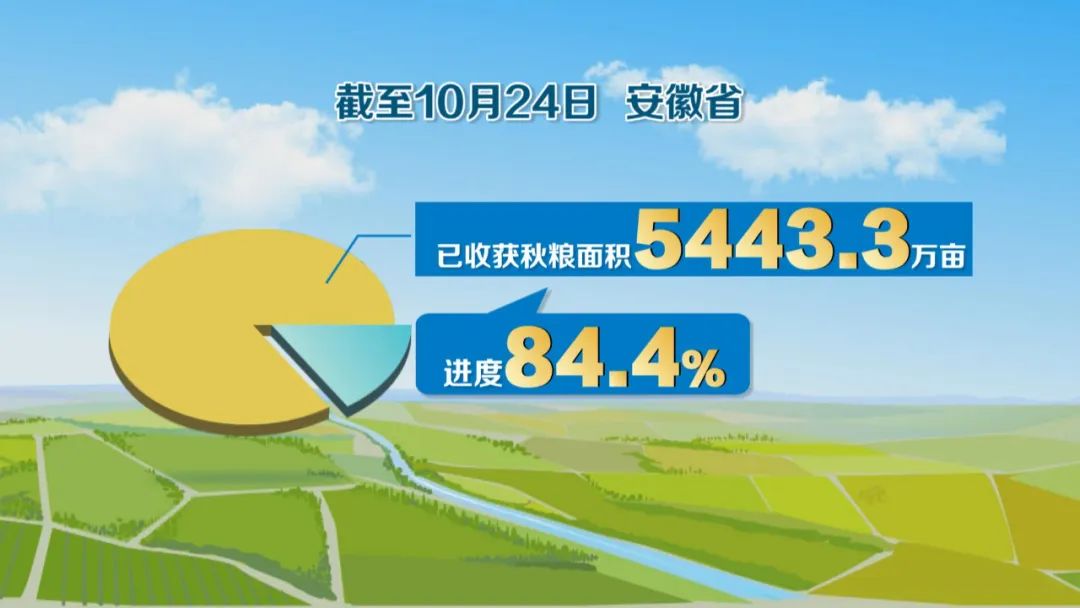 必赢国际：又是一年丰收季全省秋收已过八成(图13)