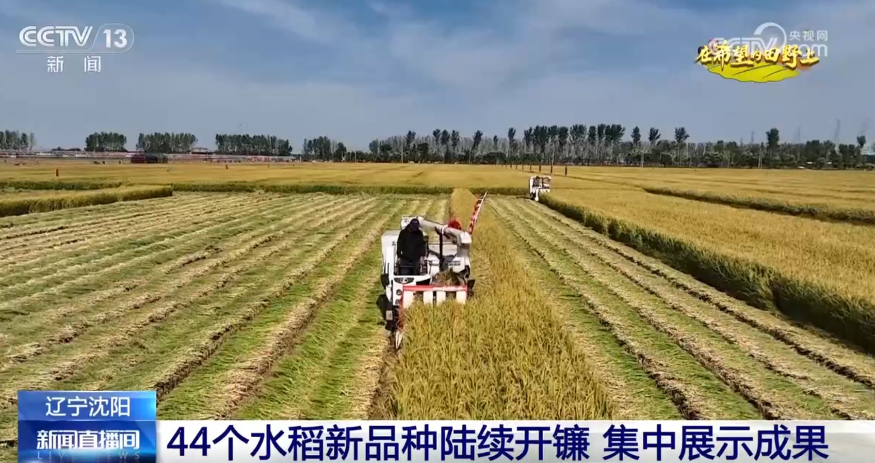 必赢：新品种、新模式、新技术设备助力绿水青山间奏响农业“丰收曲”(图1)
