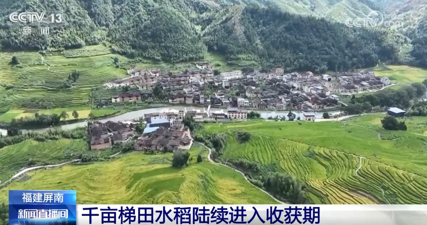 必赢：新品种、新模式、新技术设备助力绿水青山间奏响农业“丰收曲”(图6)