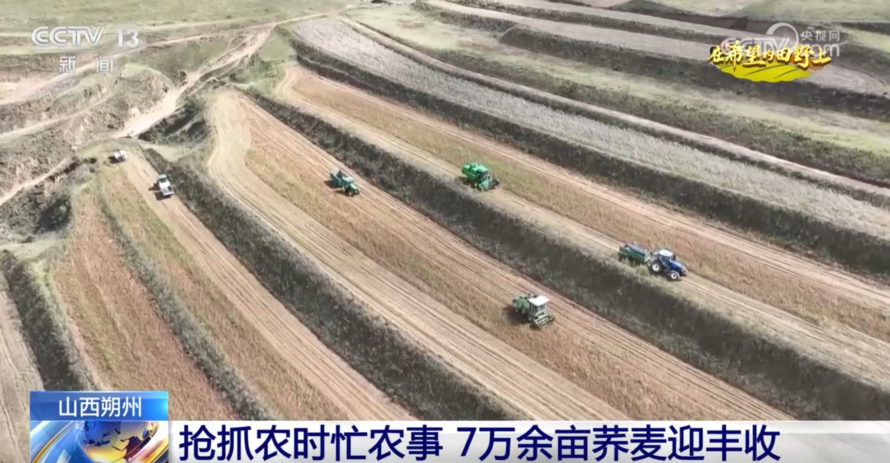 必赢：新品种、新模式、新技术设备助力绿水青山间奏响农业“丰收曲”(图7)