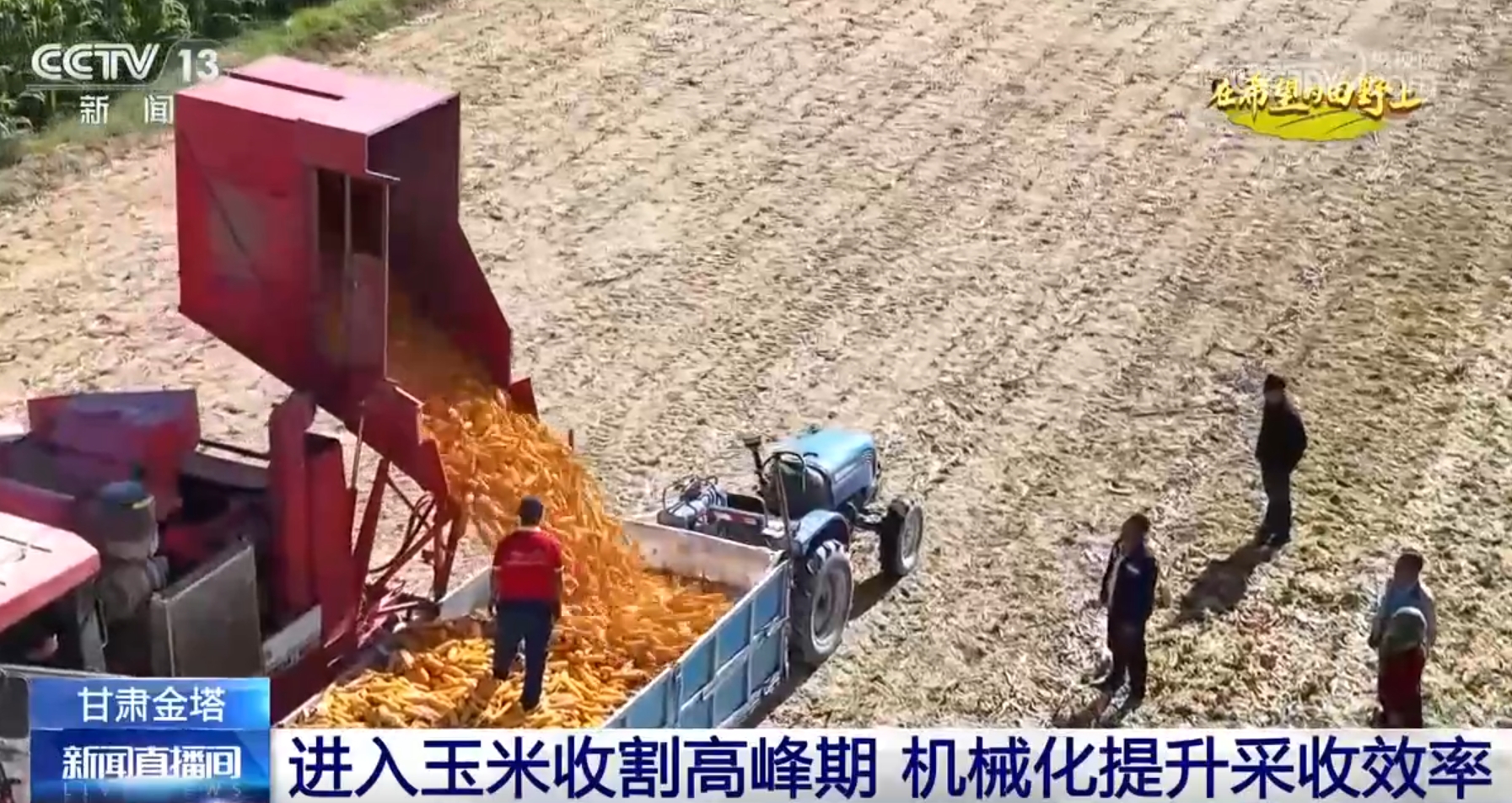 必赢：新品种、新模式、新技术设备助力绿水青山间奏响农业“丰收曲”(图10)