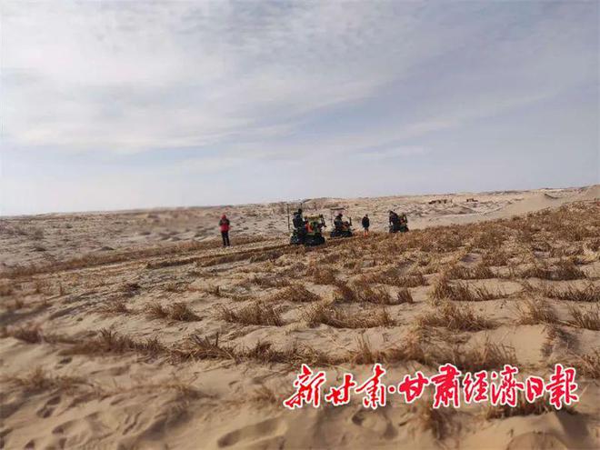 必赢：治沙领域“沙漠骆驼”走进民勤(图3)