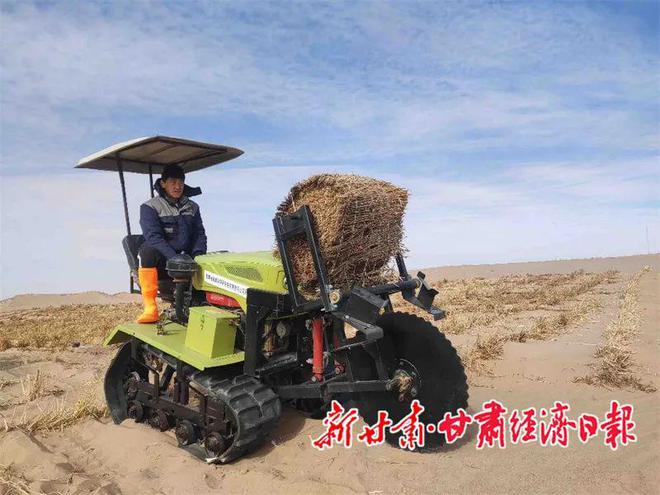 必赢：治沙领域“沙漠骆驼”走进民勤(图2)
