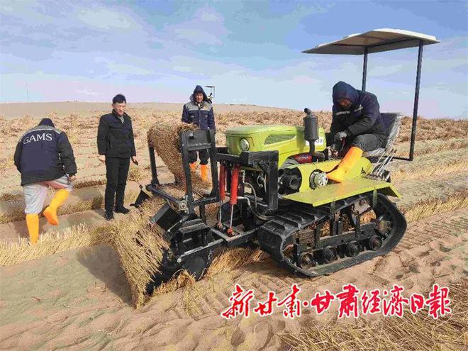 必赢：治沙领域“沙漠骆驼”走进民勤(图4)