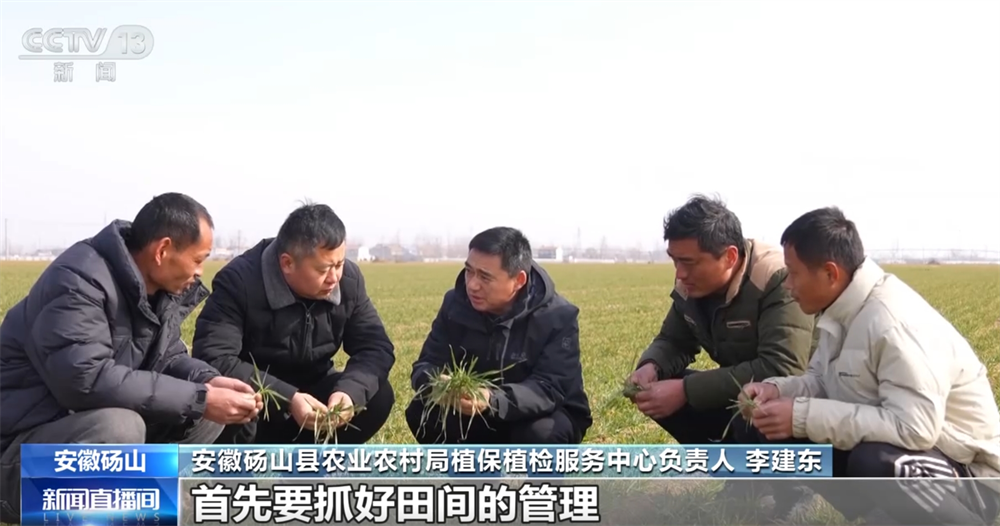 必赢：“丰”景在望智慧农机、科学农技为小麦春管工作按下“加速键”(图1)