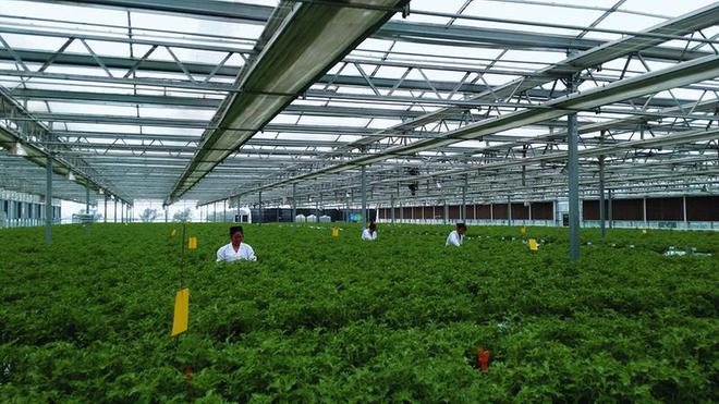 必赢国际：新型农业种类有哪些(图2)