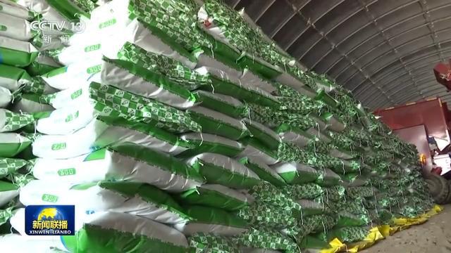 必赢国际：望奎检修农机打好春耕备耕“主动仗”(图5)