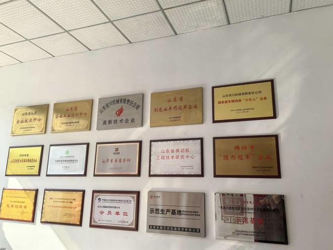 必赢国际：她力量｜45天转亏为盈潍坊这位女企业家把公司打造成国际一流(图4)