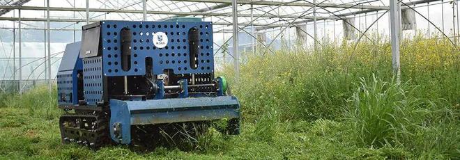 必赢国际：岚江科技：机器人解决果园农田种植难题(图1)