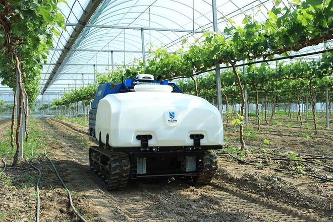 必赢国际：岚江科技：机器人解决果园农田种植难题(图2)