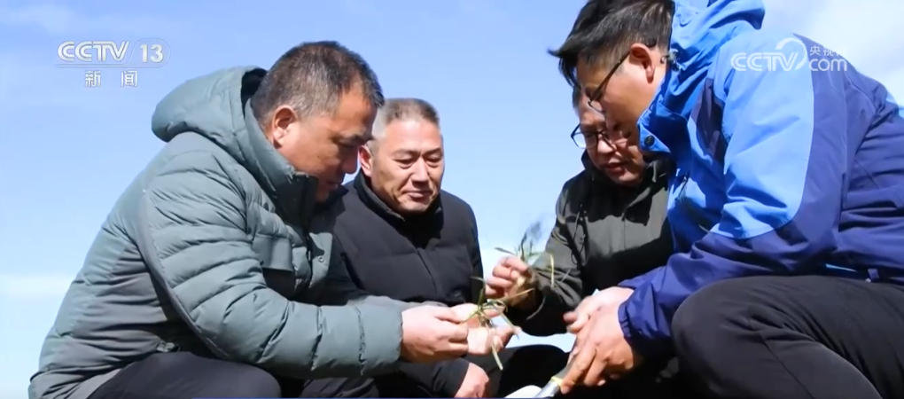 bwin网站：新技术、新科技助力小麦春管智能设施为夏粮丰收按下“确定键”(图1)