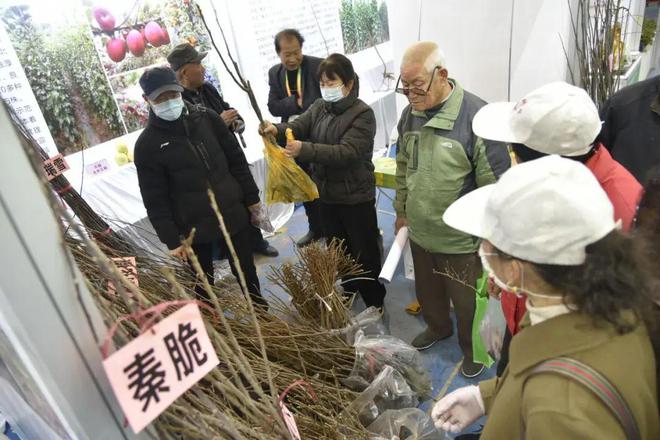 必赢国际：杨凌“双交会”：“科技之笔”绘就乡村振兴“春耕图”(图2)