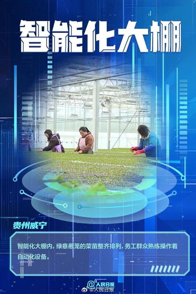 必赢国际：点赞！春耕的科技含量有多高(图3)