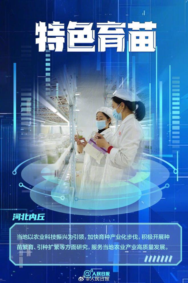 必赢国际：点赞！春耕的科技含量有多高(图6)