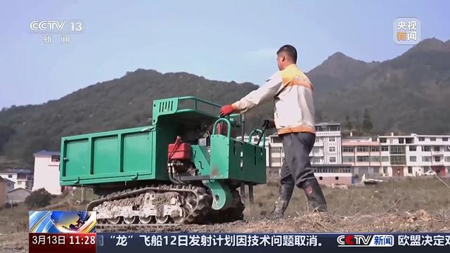 必赢：赏花经济拉动双重效益春耕备耕还有这些“法宝”(图2)