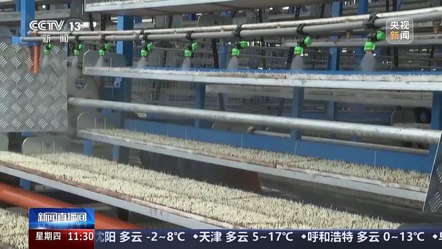 必赢：赏花经济拉动双重效益春耕备耕还有这些“法宝”(图4)