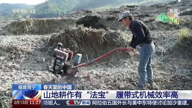 必赢：赏花经济拉动双重效益春耕备耕还有这些“法宝”(图1)