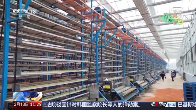 必赢：赏花经济拉动双重效益春耕备耕还有这些“法宝”(图3)