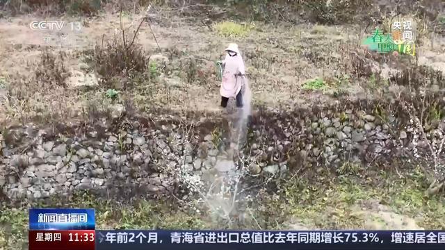 必赢：赏花经济拉动双重效益春耕备耕还有这些“法宝”(图5)
