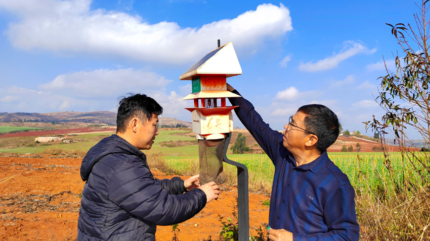 必赢国际：农机农艺融合绘就乡村振兴画卷(图2)