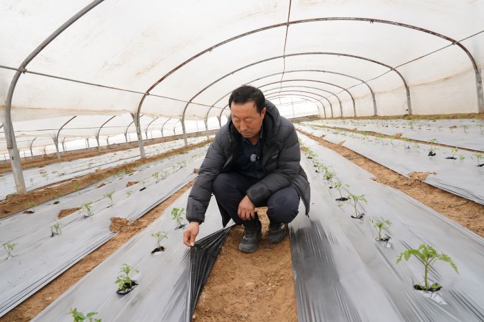 必赢国际：皋兰：田间地头藏着农业新质生产力密码(图3)