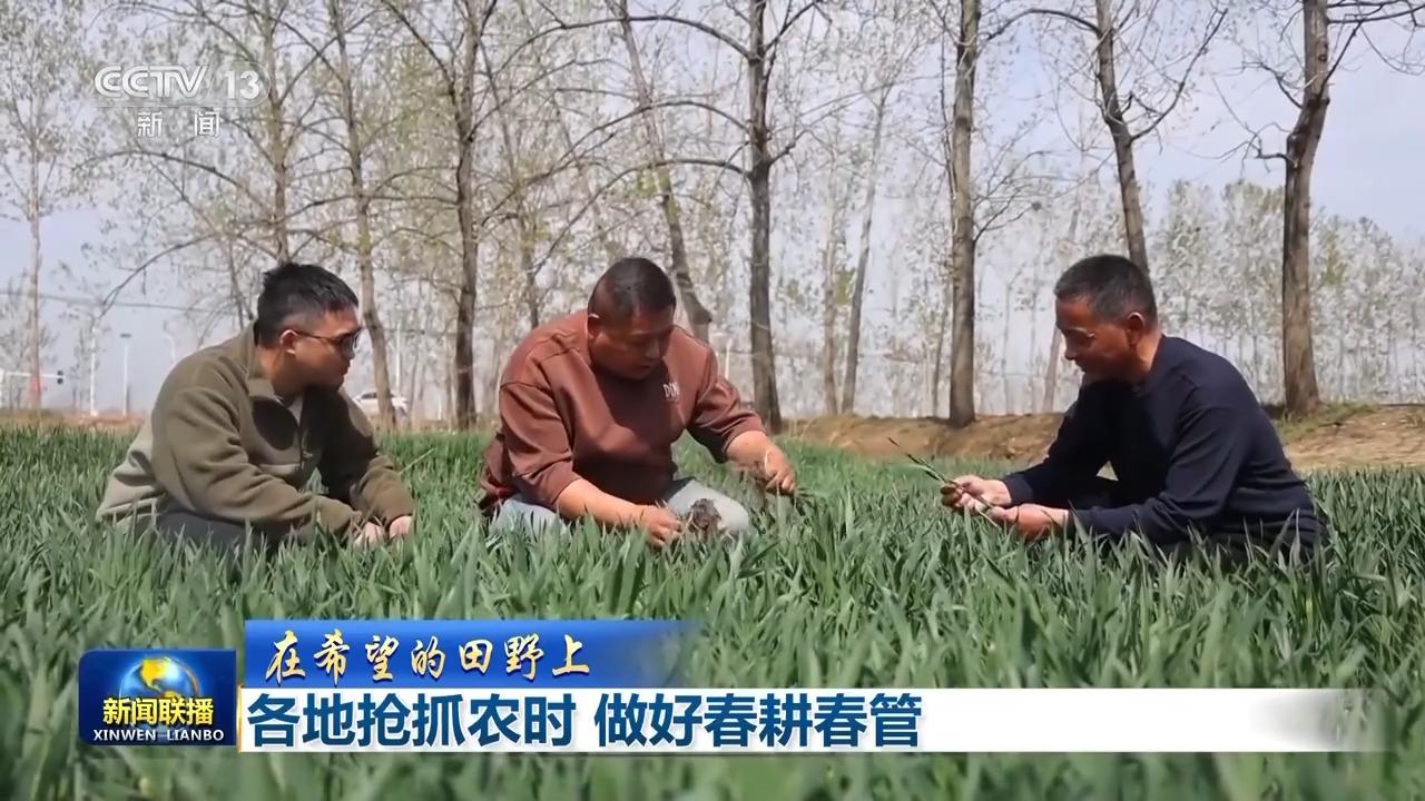 必赢：在希望的田野上丨无人机施肥、智能化育秧春耕春管“科技范儿”十足(图2)