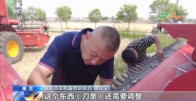 必赢国际：“三夏”AI智能体带您解锁丰收密码！(图15)