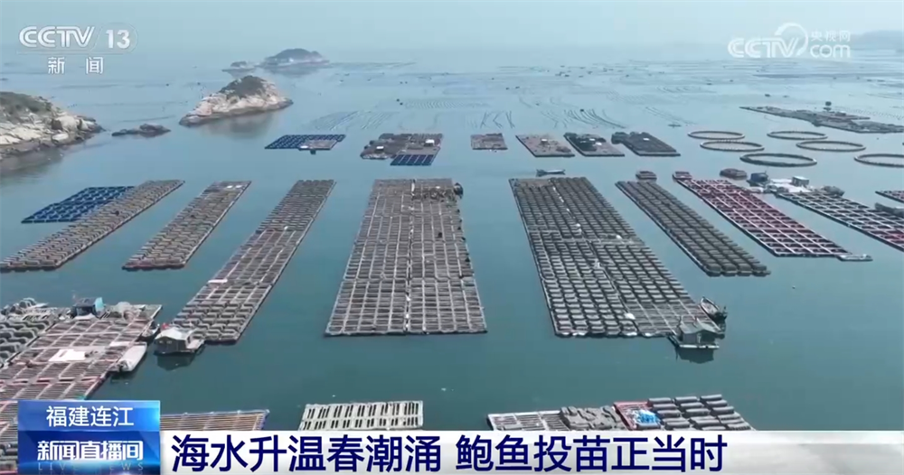 bwin网站：现代农机为传统农业注入新动能万象“耕”新奏响“春耕进行曲”(图6)