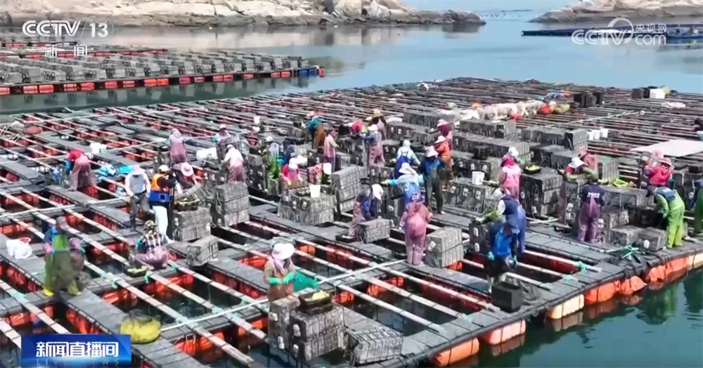 bwin网站：现代农机为传统农业注入新动能万象“耕”新奏响“春耕进行曲”(图7)